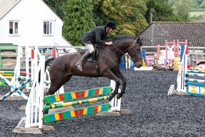 Class 6 - Fences not above 2'9